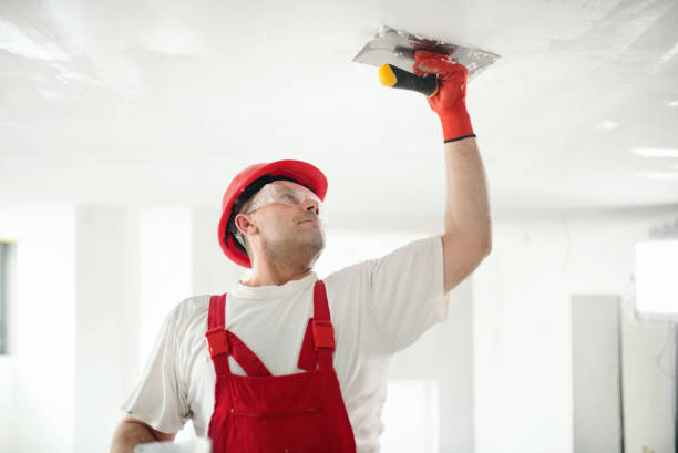 Professional Drywall and Painting Service in New Prague, MN